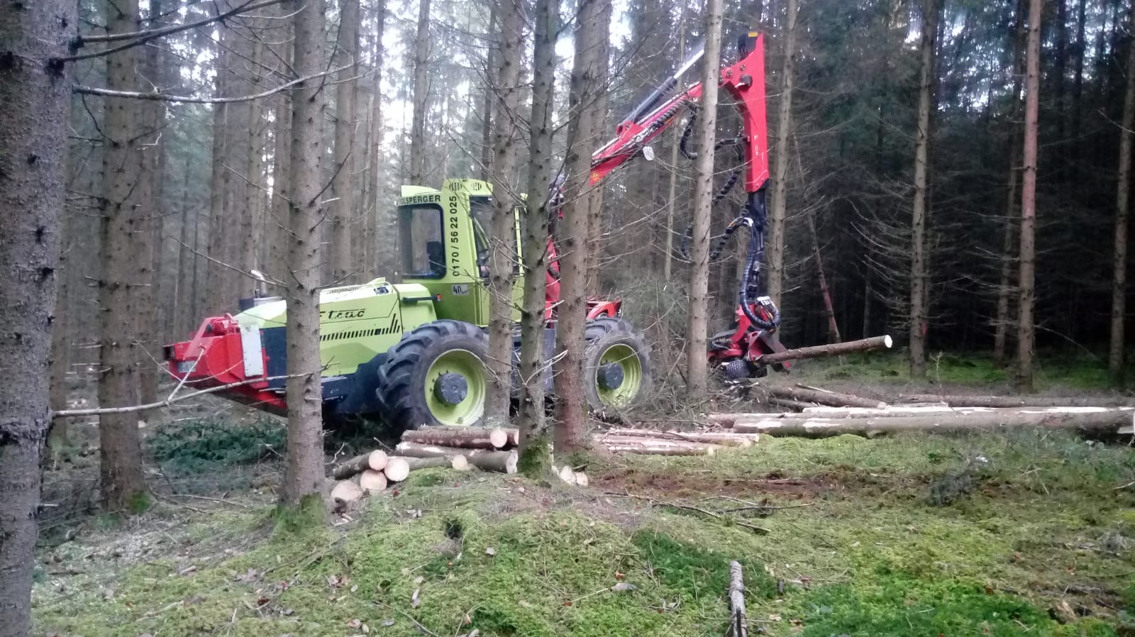 Häglsperger Bagger- und Forstbetrieb